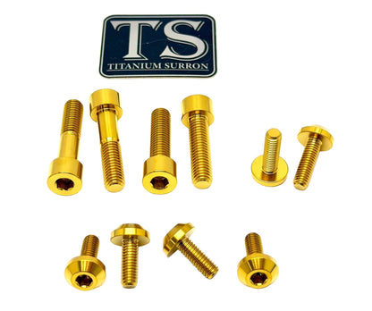 Titanium Surron Skid Plate / Bash Guard Bolt Kit