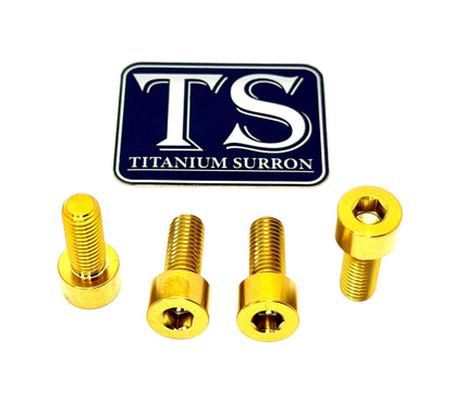 Titanium Surron Skid Plate / Bash Guard Bolt Kit
