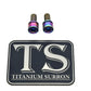 Titanium E-Moto Headlight Mount Bolts