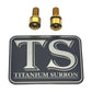 Titanium E-Moto Headlight Mount Bolts
