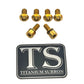 Titanium E-Moto Headlight Mount Bolts