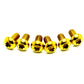 Titanium Side Cover Bolts for Talaria XXX (9 Pieces)