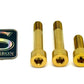 Titanium Motor Bolts - E-Ride Pro ERP SS and S