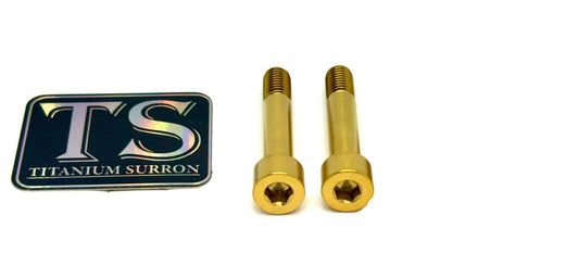 Titanium Hardware for AstroWorks Foot Lock
