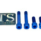 Titanium Motor Bolts - E-Ride Pro ERP SS and S