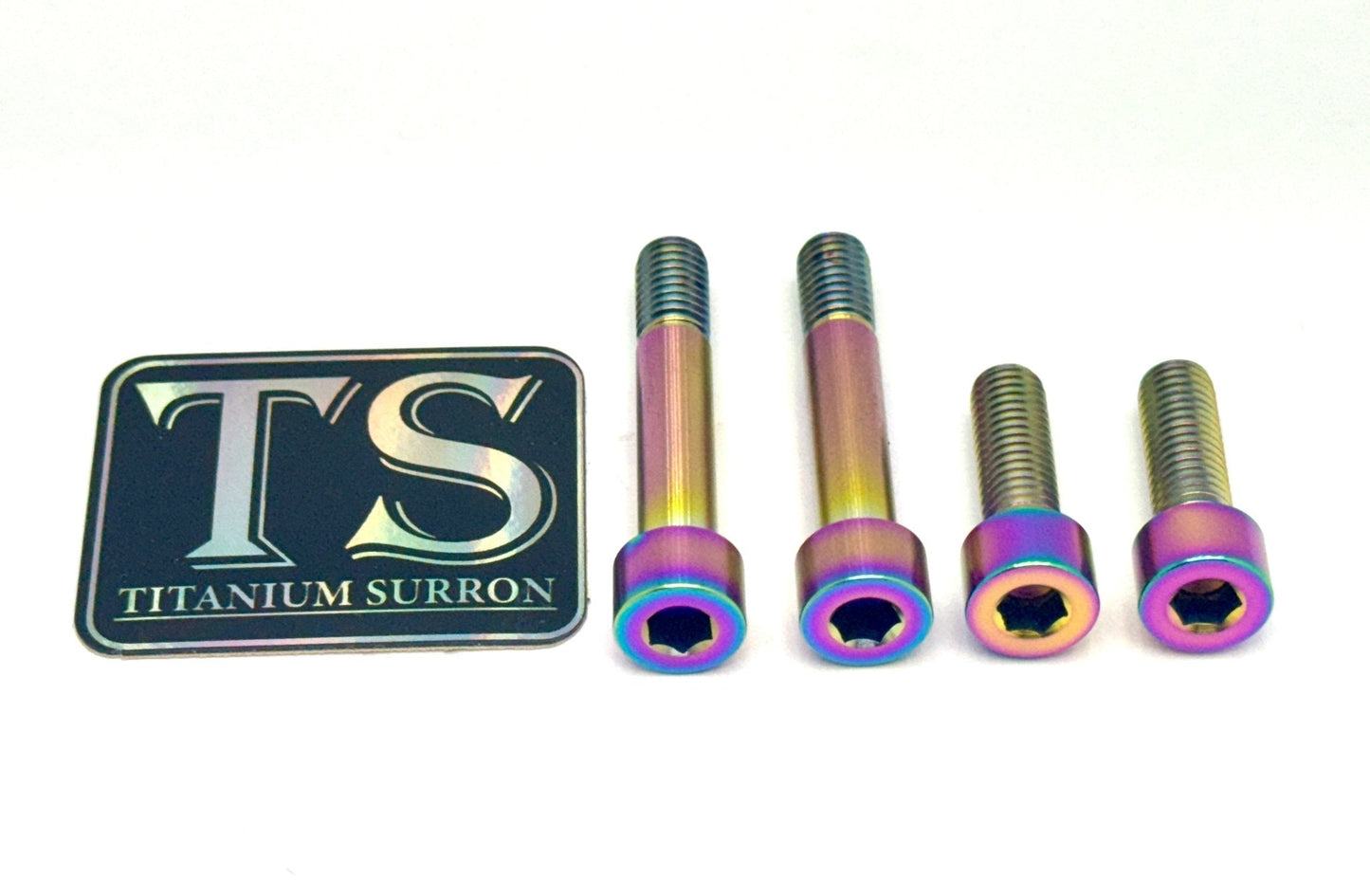 Titanium Motor Bolts - E-Ride Pro ERP SS and S