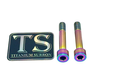 Titanium Hardware for EMoto Worx Shift Lock (LBX, XXX, ERP, Ultra Bee)