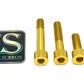 Titanium Motor Bolts - Surron LBX