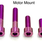 Titanium Motor Bolts - Surron LBX