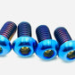 Titanium Rear Rotor Screws - Surron, Talaria, E-moto