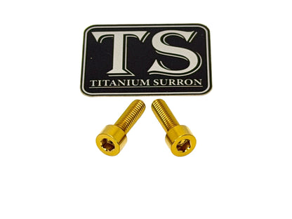 Titanium Surron Ultra Bee Headlight Bracket bolts by Prickly for Baja Squadron